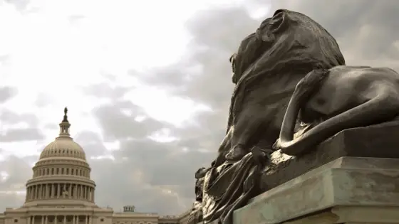 Lion statue in front of US capitol